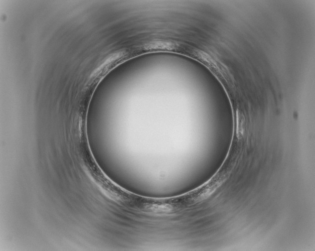 X0000060260157200511112030