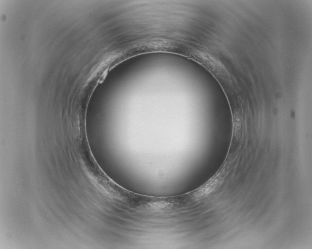 X0000060260158200511112030