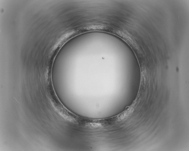 X0000060260159200511112030