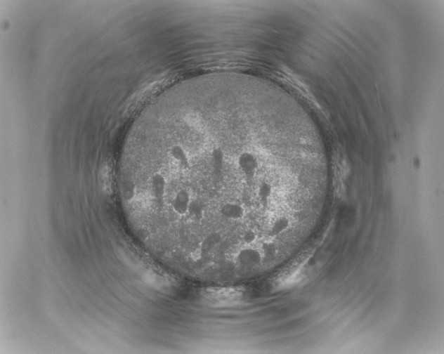 X0000060260161200511112030