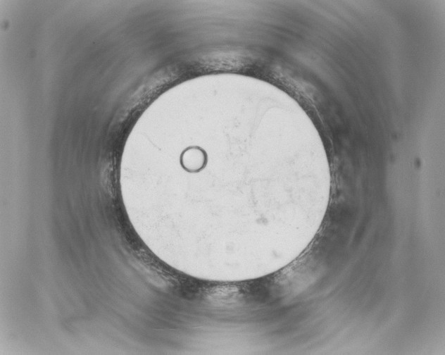 X0000060260162200511112030