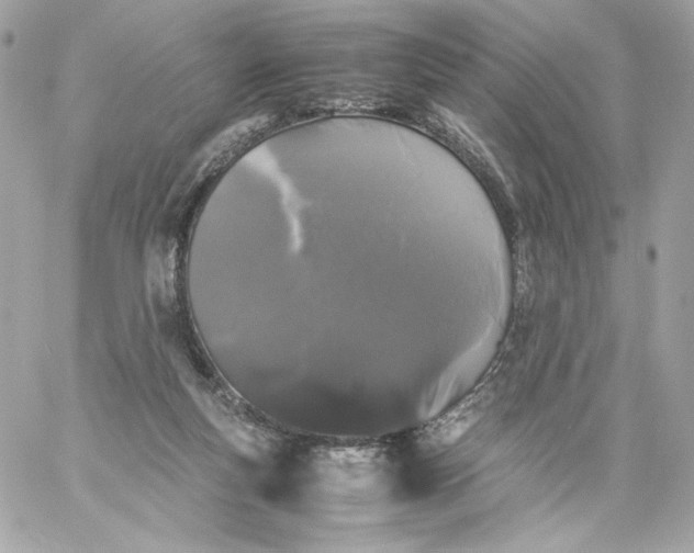 X0000060260163200511112030