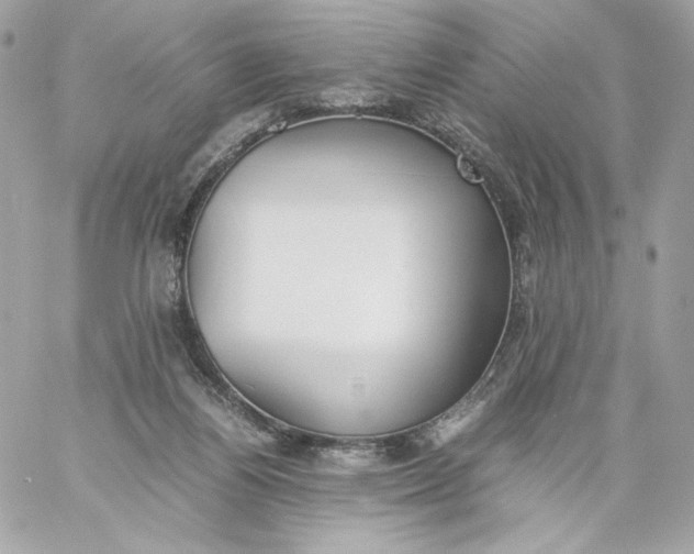 X0000060260164200511112030