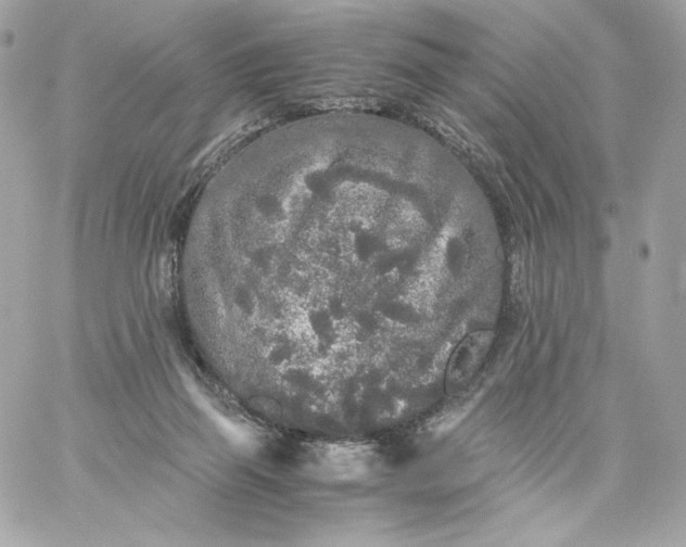 X0000060260165200511112030