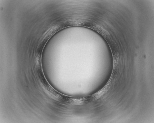 X0000060260166200511112030