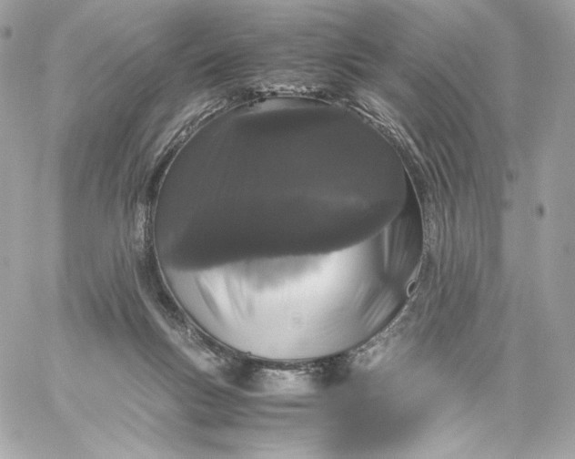 X0000060260167200511112030