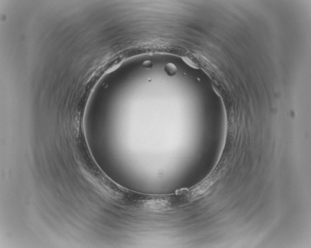 X0000060260168200511112030