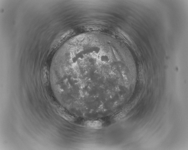 X0000060260169200511112030