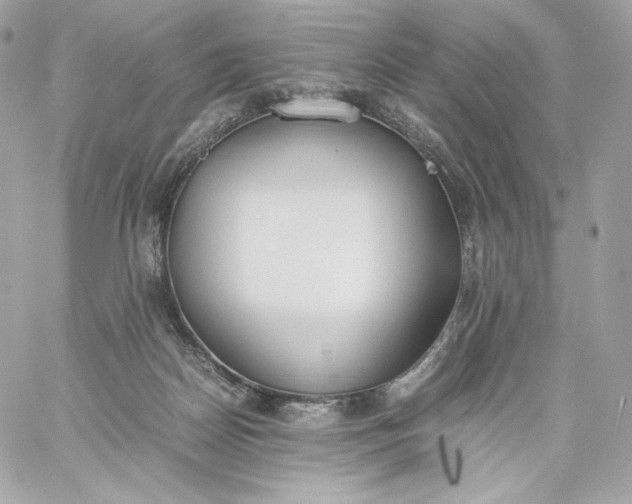 X0000060260170200511112030