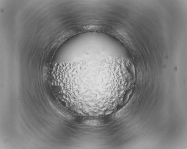 X0000060260171200511112030