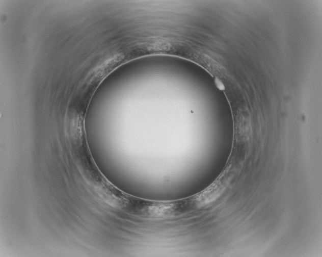 X0000060260172200511112030