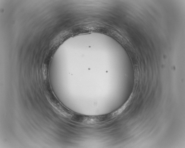 X0000060260174200511112030