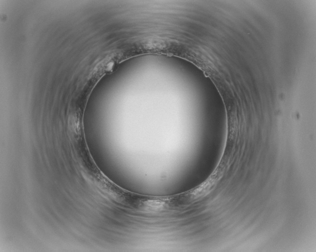 X0000060260176200511112030