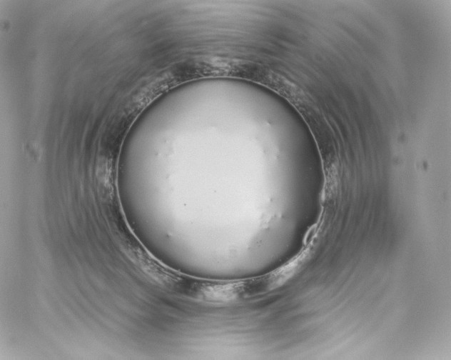 X0000060260178200511112030