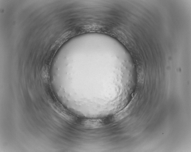 X0000060260179200511112030