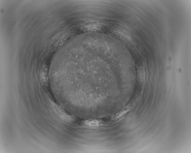 X0000060260181200511112030