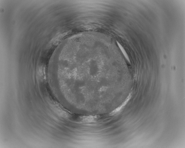 X0000060260182200511112031