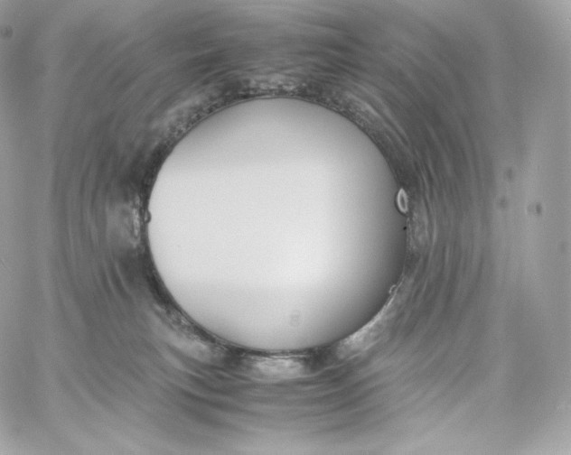 X0000060260183200511112031