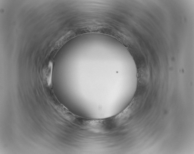 X0000060260184200511112031