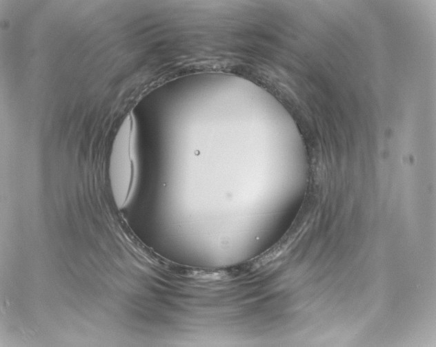 X0000060260185200511112031