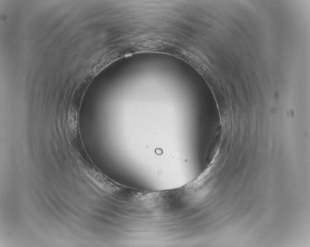 X0000060260186200511112031