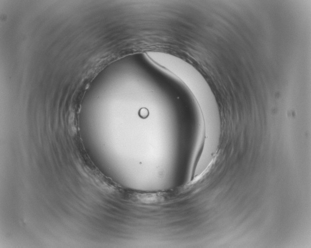 X0000060260187200511112031