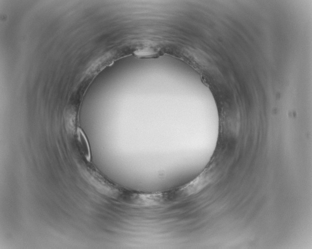 X0000060260188200511112031