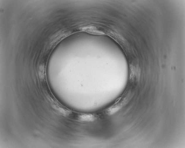 X0000060260189200511112031