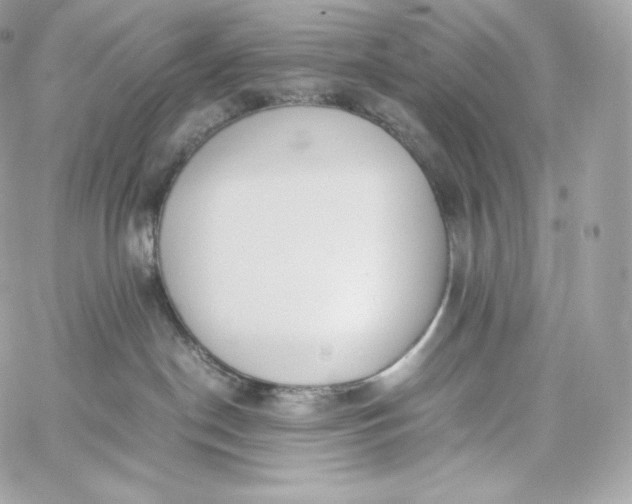 X0000060260190200511112031