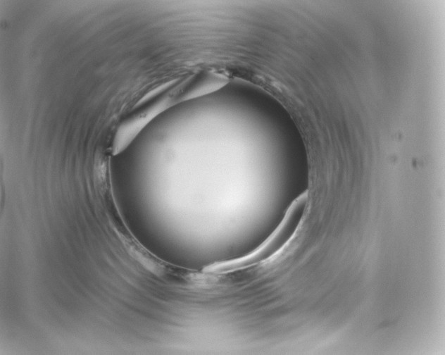 X0000060260192200511112031