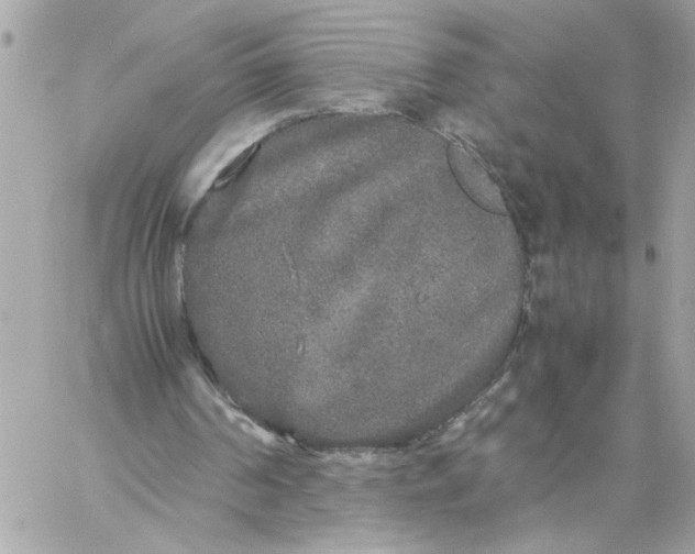 X0000060260194200511112030