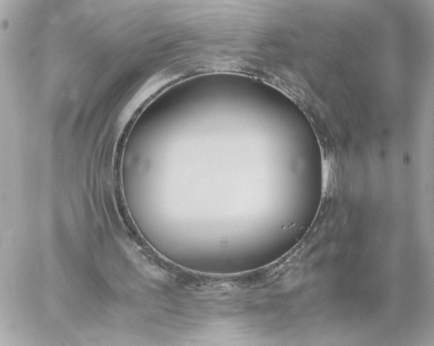 X0000060260195200511112030