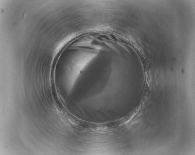 X0000060260196200511112030