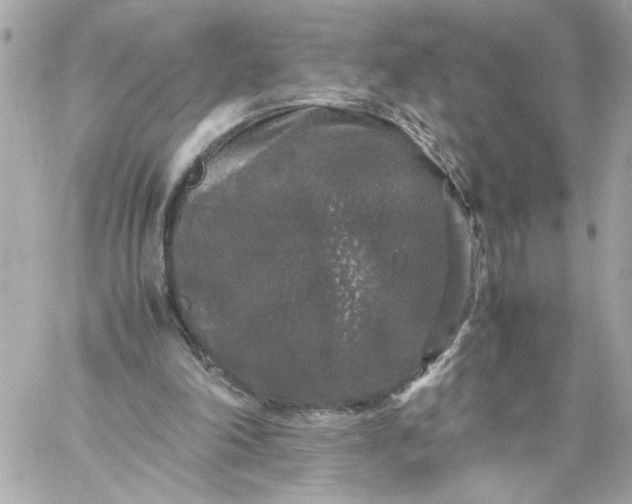 X0000060260198200511112030