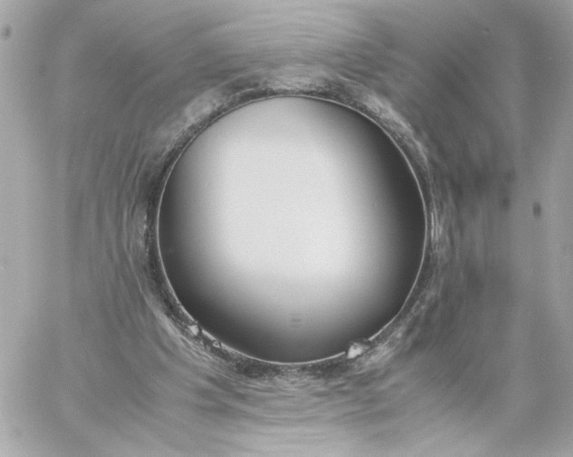 X0000060260201200511112030