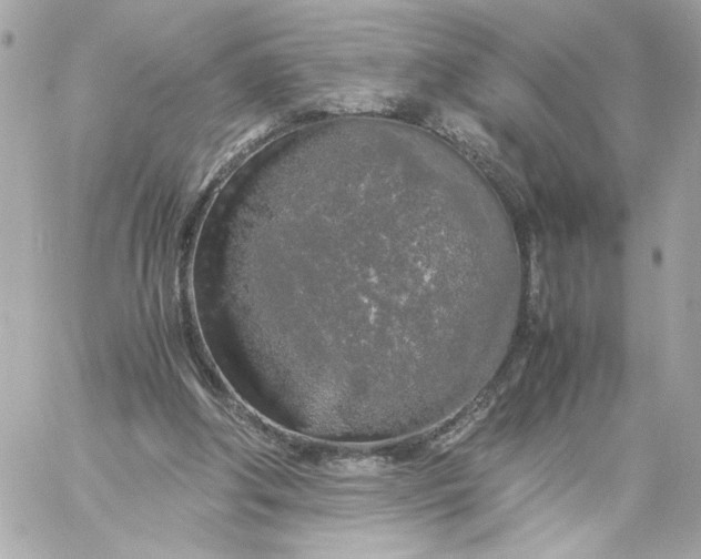 X0000060260202200511112030