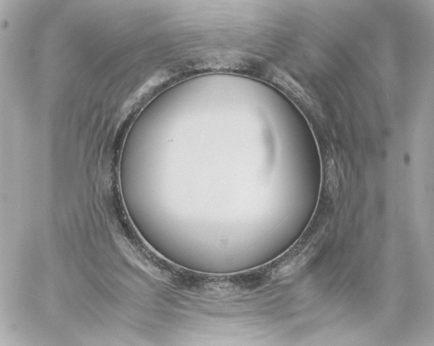 X0000060260203200511112030