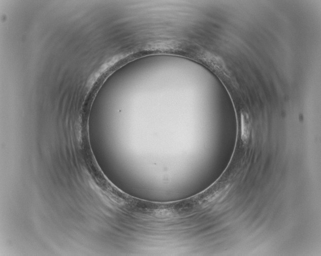 X0000060260204200511112030