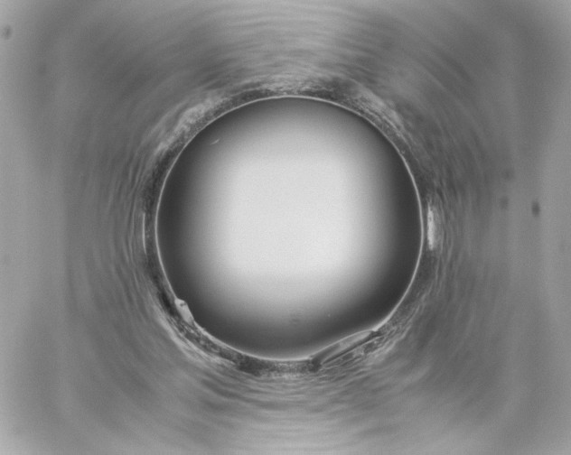 X0000060260205200511112030