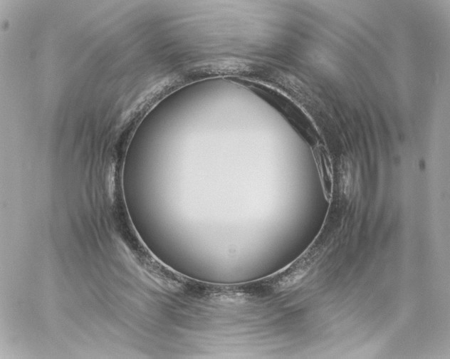 X0000060260206200511112030