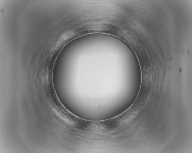 X0000060260207200511112030