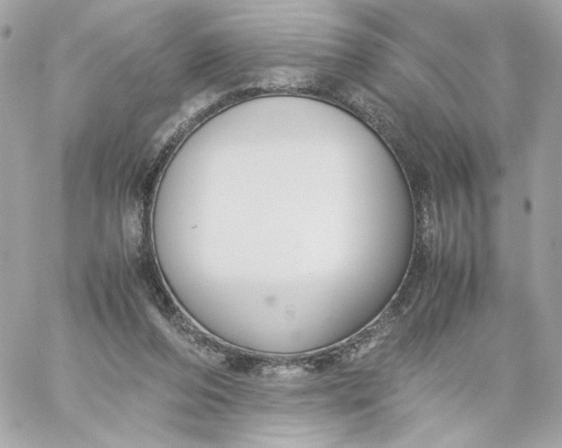 X0000060260208200511112030