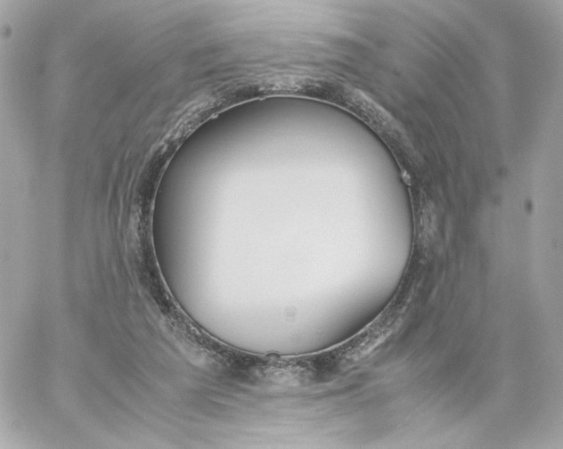 X0000060260209200511112030