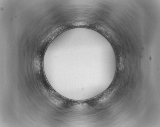 X0000060260210200511112030