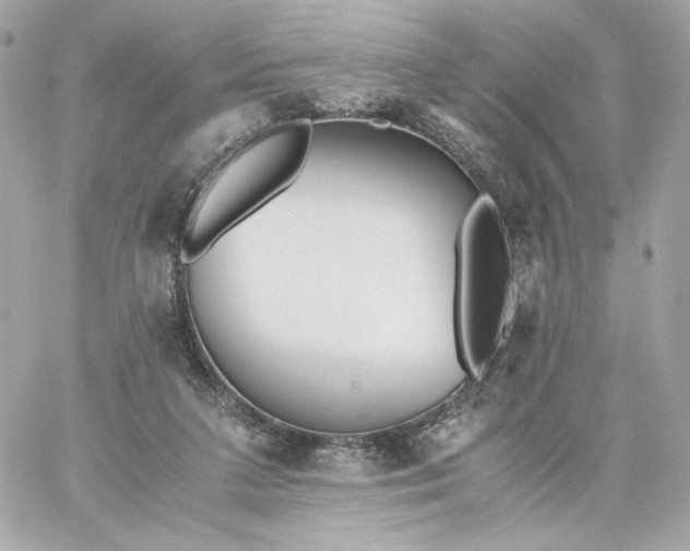 X0000060260211200511112030