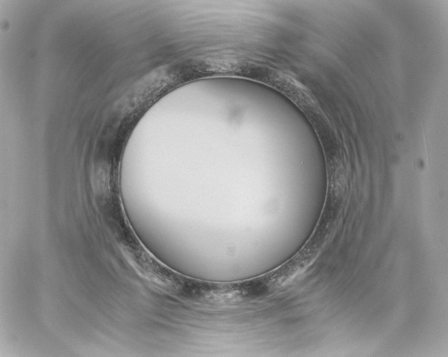 X0000060260213200511112030