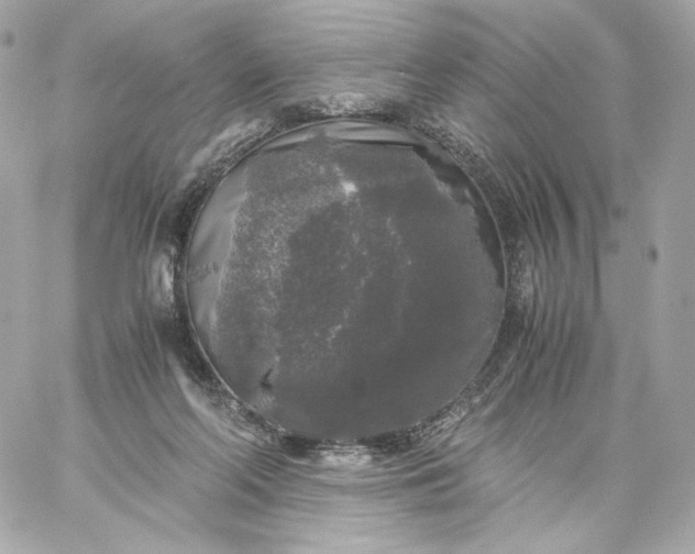 X0000060260214200511112030