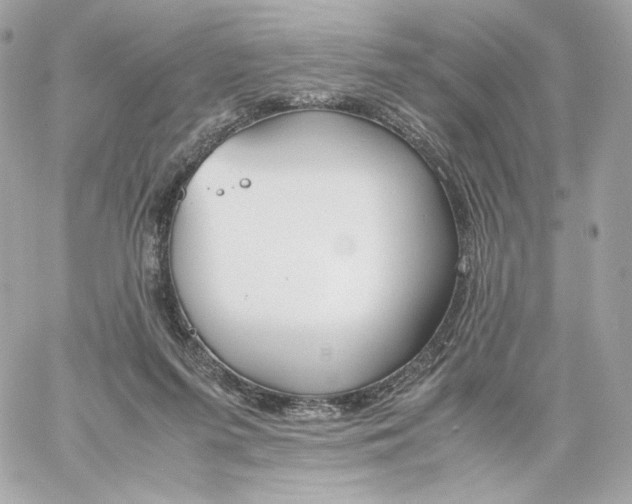 X0000060260215200511112029