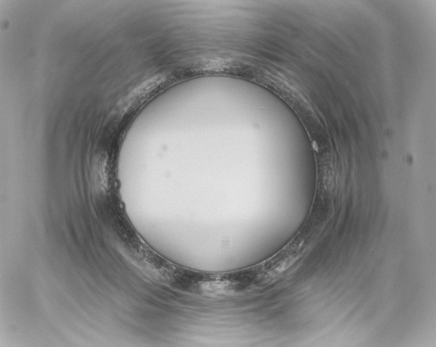 X0000060260216200511112029