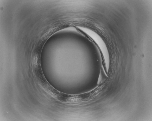 X0000060260219200511112029